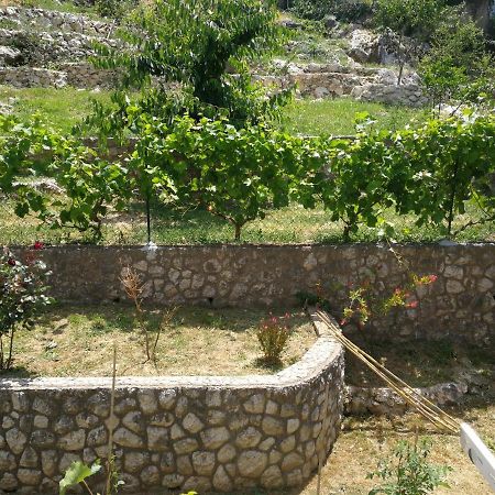 Tim Daire Kotor Dış mekan fotoğraf