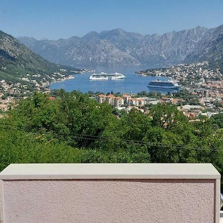 Tim Daire Kotor Dış mekan fotoğraf