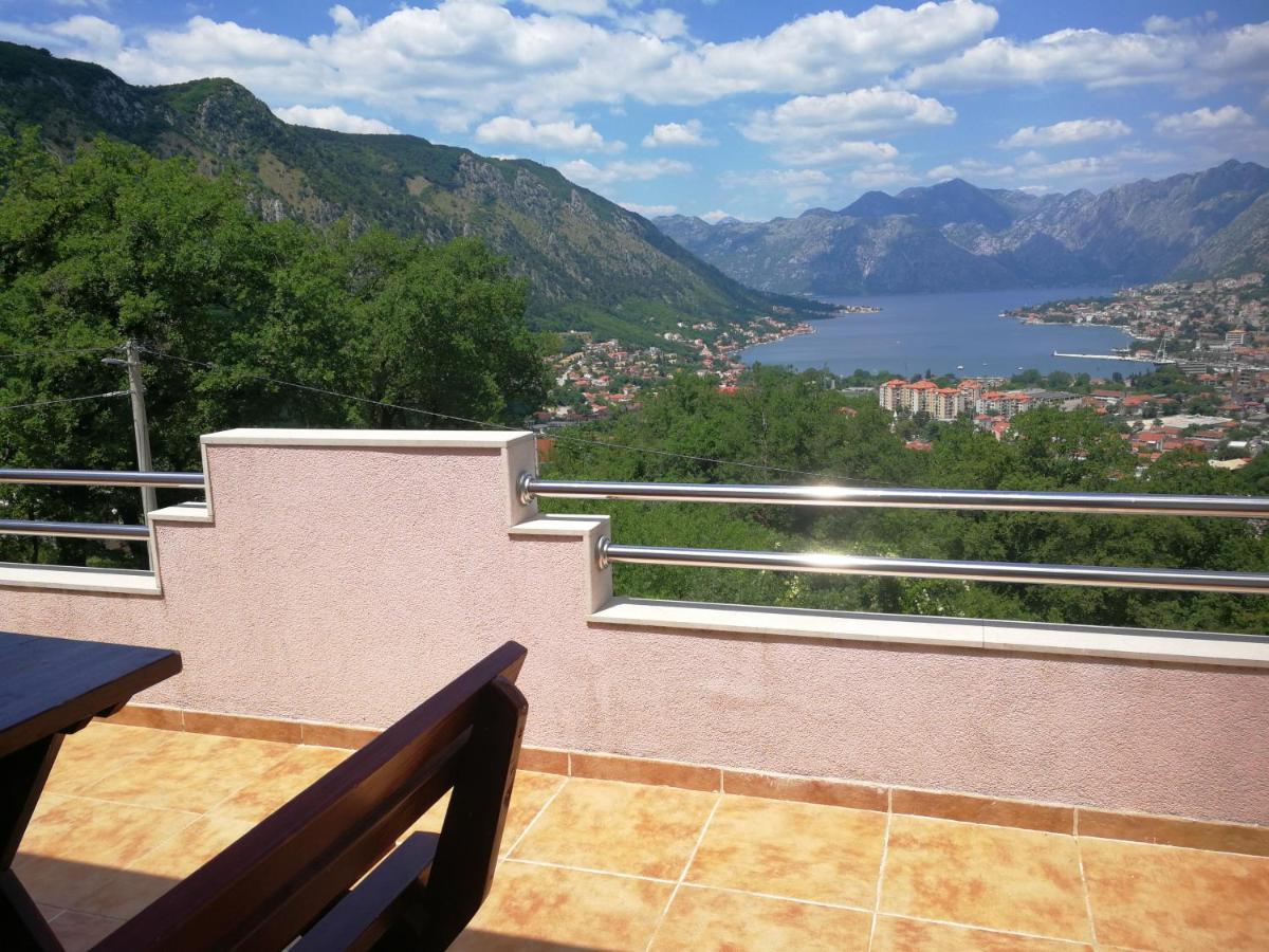 Tim Daire Kotor Dış mekan fotoğraf
