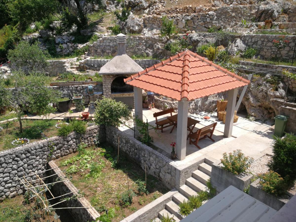 Tim Daire Kotor Dış mekan fotoğraf