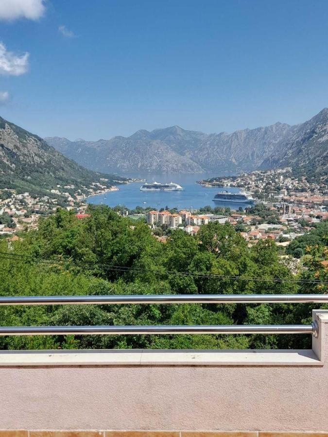 Tim Daire Kotor Dış mekan fotoğraf